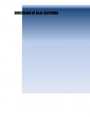 Ensayo Educación el Área de Educación Física.