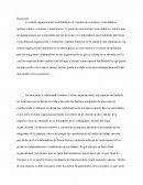 La cultura organizacional es definida por el conjunto de conceptos, como hábitos, normas, valores, creencias y experiencias