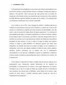 Ensayo sobre pnl INTRODUCCIÓN