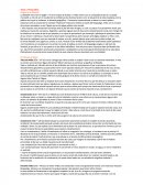 Presocratics Origen de la filosofia