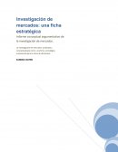 Un Informe conceptual argumentativo de la investigación de mercados.