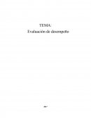 DETALLES A CONSIDERAR EN LA EVALUACION DE DESEMPEÑO