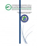 TÉCNICO SUPERIOR UNIVERSITARIO EN TECNOLOGÍA DE LA INFORMACIÓN Y LA COMUNICACIÓN