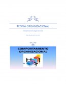TEORIA ORGANIZACIONAL Comportamiento organizacional