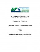 CAPITAL DE TRABAJO Gestión de Compras