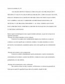 Ejercicio la analista O y M