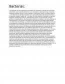 Ensayo de las bacterias