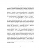 Proyecto socioproductivo de siembra de maiz