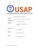 Informe sobre Partidos Políticos en Honduras