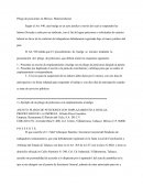 Pliego de posiciones en México. Materia laboral