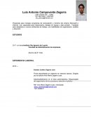 Preparado para manejar programas de computación y dominio del entorno Microsoft e Internet