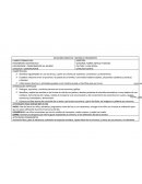 NUMEROS; FORMA ESPACIO Y MEDIDA