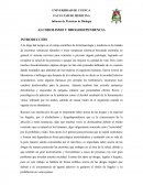 Informe de Prácticas de Biología