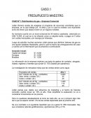 CASO N°1: Distribuidora de gas – Empresa Comercial