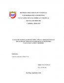 CAUSAS DE MANIPULACIÓN DE NIÑOS, NIÑAS Y ADOLESCENTES EN SITUACIÓN DE VIOLENCIA FAMILIAR EN EL MUNICIPIO NAGUANAGUA, EDO. CARABOBO