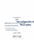 BRIEF DE INVESTIGACION DE MERCADOS