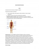 COMO SE DA UN ANALISIS BROMATOLOGICOS I