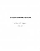 EL ÁCIDO DESOXIRRIBONUCLEICO (ADN)