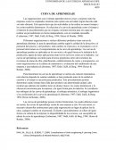 CURVA DE APRENDIZAJE