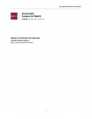 Beneficios y desventajas de la matriz BCG