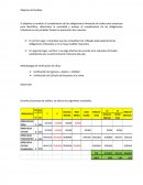 Objetivo del Análisis