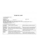 Planificación Ciclo 4to Educación Básica. Paralelo: 1