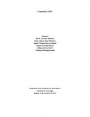 El gran Trabajo Psicologia Comunidades LGBT
