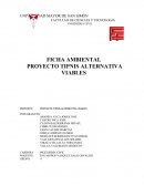 Proyecto PROYECTO TIPNIS ALTERNATIVA VIABLES