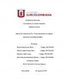 Informe de Laboratorio No. 7 Experimentando con algunos elementos de la tabla periódica