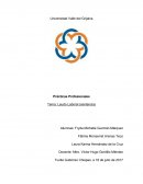 Laudo Laboral (sentencia) ¿Qué es una sentencia o un laudo?