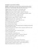 Cuadro Etimología de conceptos básicos de Medicina