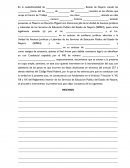 LA NUEVA ACTA CIRCUNSTANCIADA DE HECHOS