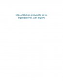 Análisis de innovación en las organizaciones. Caso Begoña