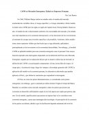 Econometria I CAPM en Mercados Emergentes: Énfasis en Empresas Peruanas