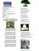 Poemas Es la lluvia, la hormiga que asciende lenta