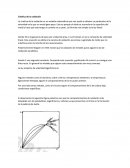 Como se da la Cinética de la Oxidación