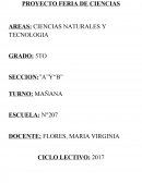 Como se da el Proyecto Feria de Ciencias