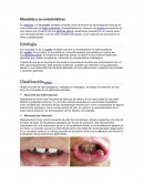 Mucolete Mucolete y su caracteristicas