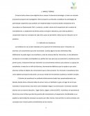 Marco teorico avance