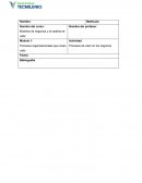 Modelos de negocios Procesos organizacionales que crean valor