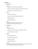 Contabilidad Forma jurídica. Empresa societaria (Sociedad limitada)