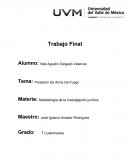 Portación De Arma De Fuego Materia: Metodología de la investigación jurídica