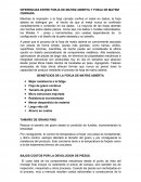 FORJA MATRIZ ABIERTA Y CERRADA