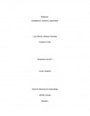 Servicio Nacional de Aprendizaje (SENA Virtual)