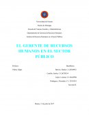 Como se da El gerente de rrhh en el sector público