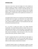 Cuales son los Derechos humanos afganos