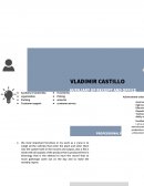 CURRICULUM VITAE ENSAYO Y AVANCE