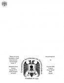 Mejora de la esperanza de vida en el cáncer de mama por la fármacosinergia de Ninedanib y Paclitaxel
