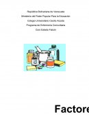 Cuales son las Etapas del proceso de parto