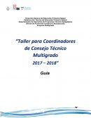 El Taller para Coordinadores de Consejo Técnico Multigrado tiene la intención de dar proyección